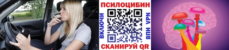 Псилоцибиновые грибы Psilocybine cubensis  Северо-Курильск 